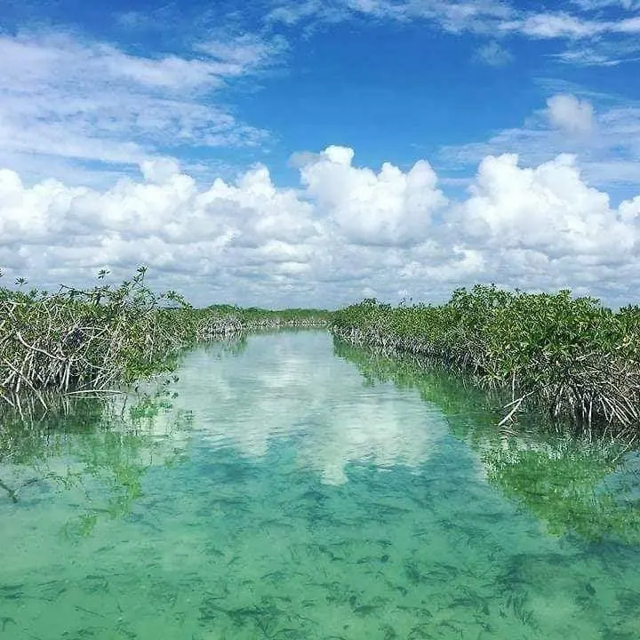 Apartamento Kasa Kai Tulum 0*,